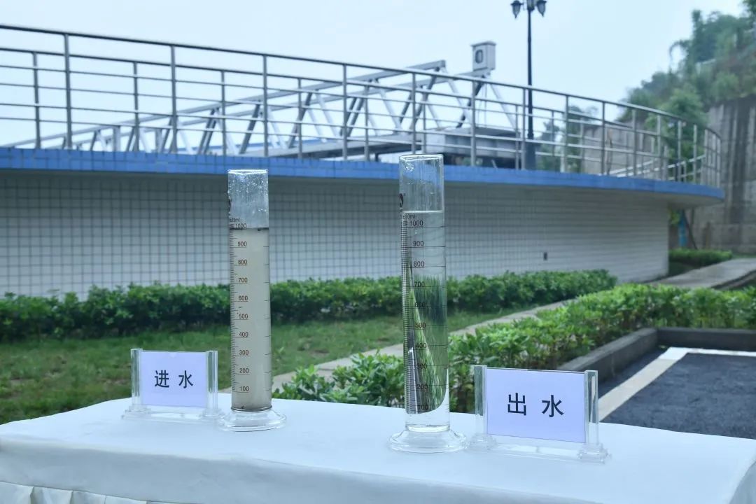 AG真人官方(中国)官方网站IOS/安卓通用版/手机app下载