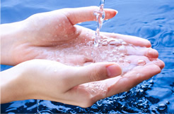 AG真人官方宗旨