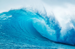 AG真人官方精神